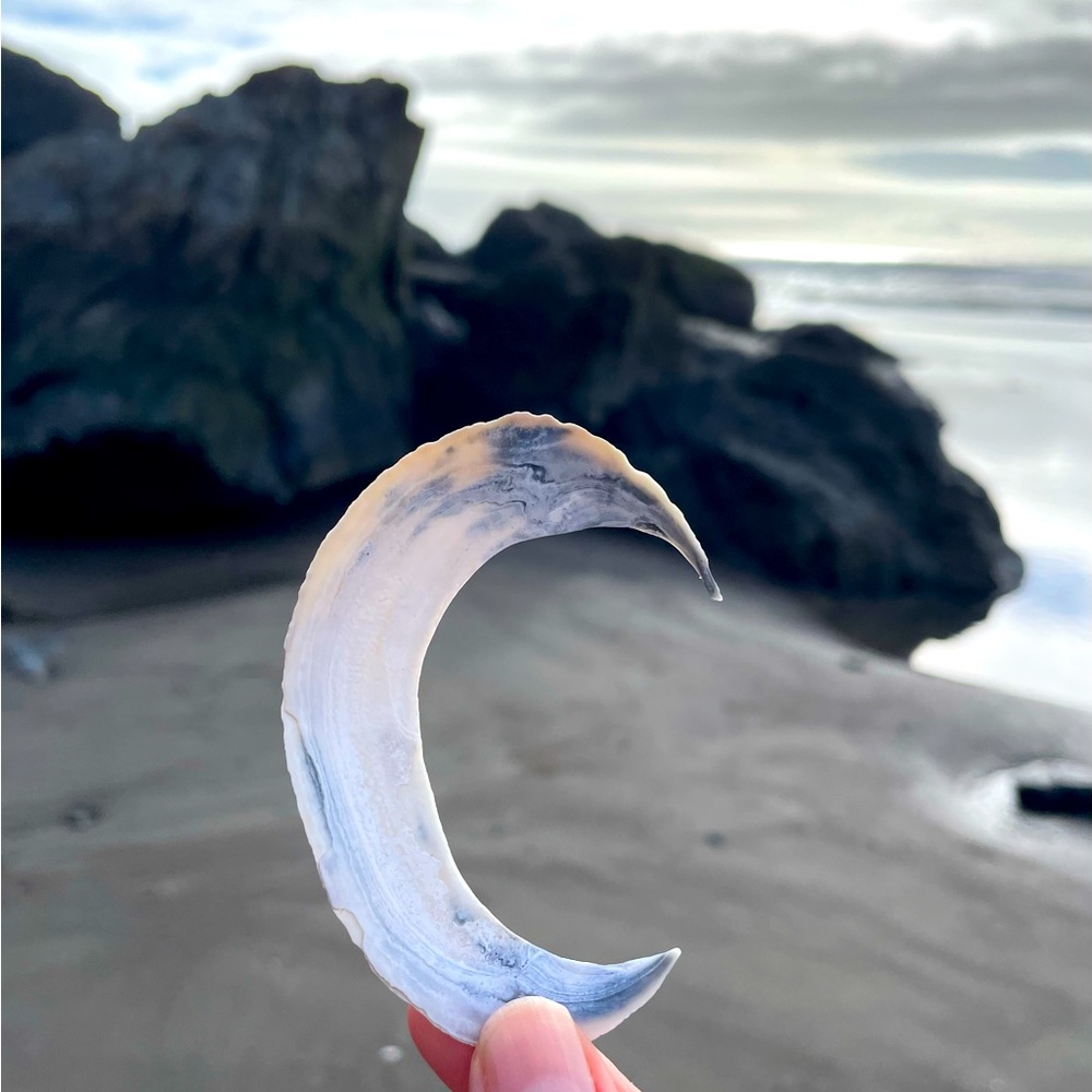 ✨Hi, I'm Jamie✨ - Picture 10 of 10